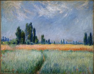 Wheatfield